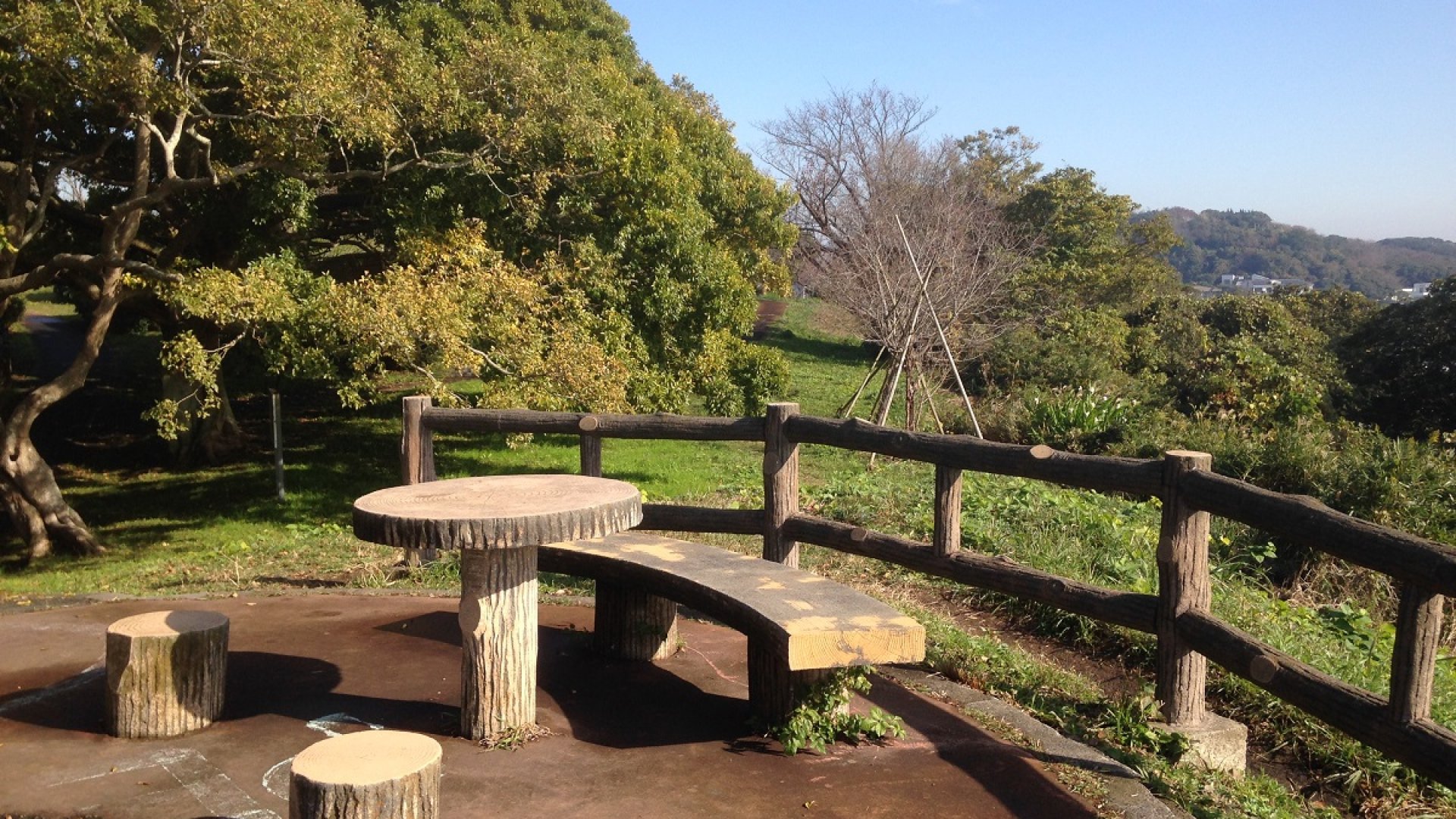 🏞️ 오사키 공원 (오사키 코엔) 이미지 8